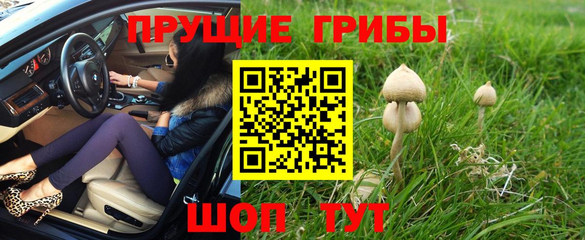 купить наркотик  Галлюциногенные грибы MAGIC MUSHROOMS  Вход с VPN  Кызыл  Псилоцибиновые грибы Cubensis 