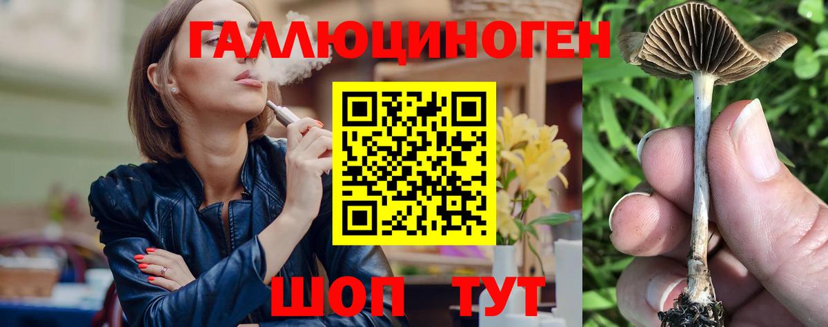 Галлюциногенные грибы мухоморы Кызыл